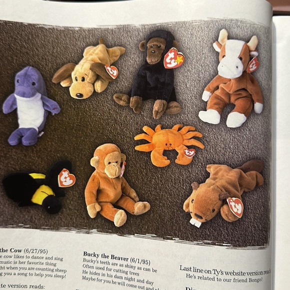 Magazine - Picture 4 of 6